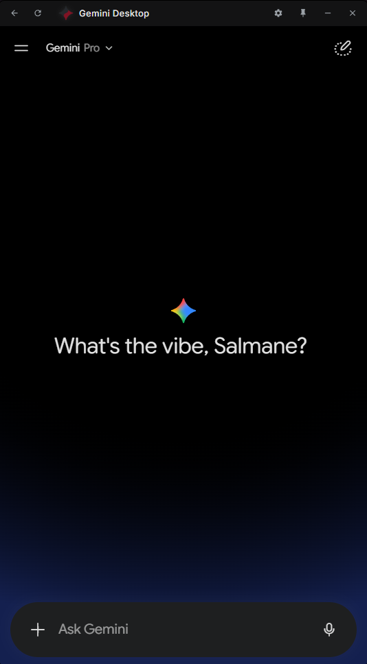 Gemini Chat Interface